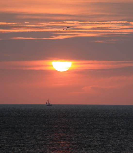Sylt